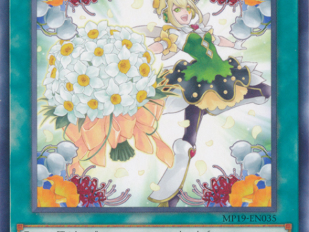 Trickstar Bouquet [MP19-EN035] Common For Sale